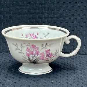 Karolina Poland China Teacup Pink Floral Silver Trim Vintage Porcelain 3879 8